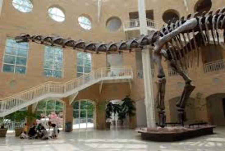 Fernbank Museum of Natural History Trip Packages