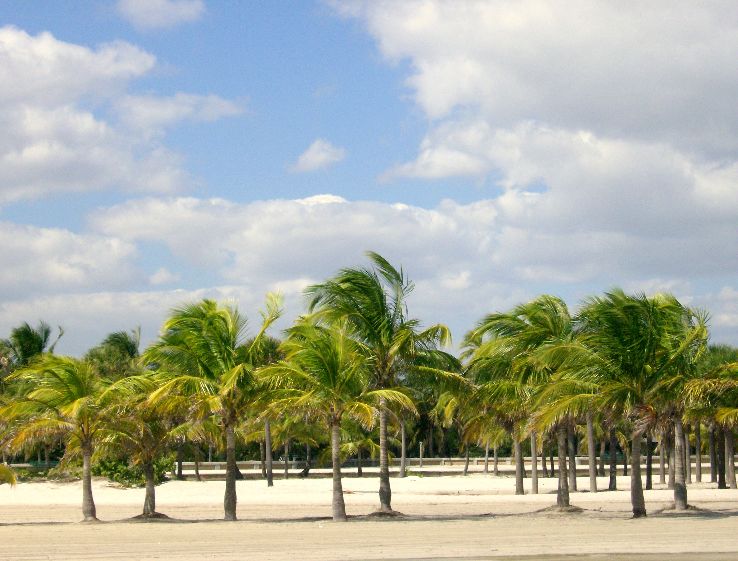 Key Biscayne & Crandon Beach Park  Trip Packages