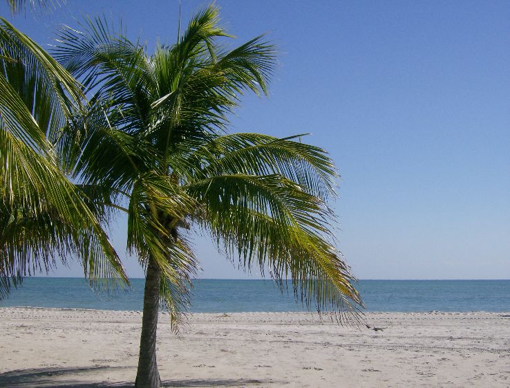 Key Biscayne & Crandon Beach Park  Trip Packages