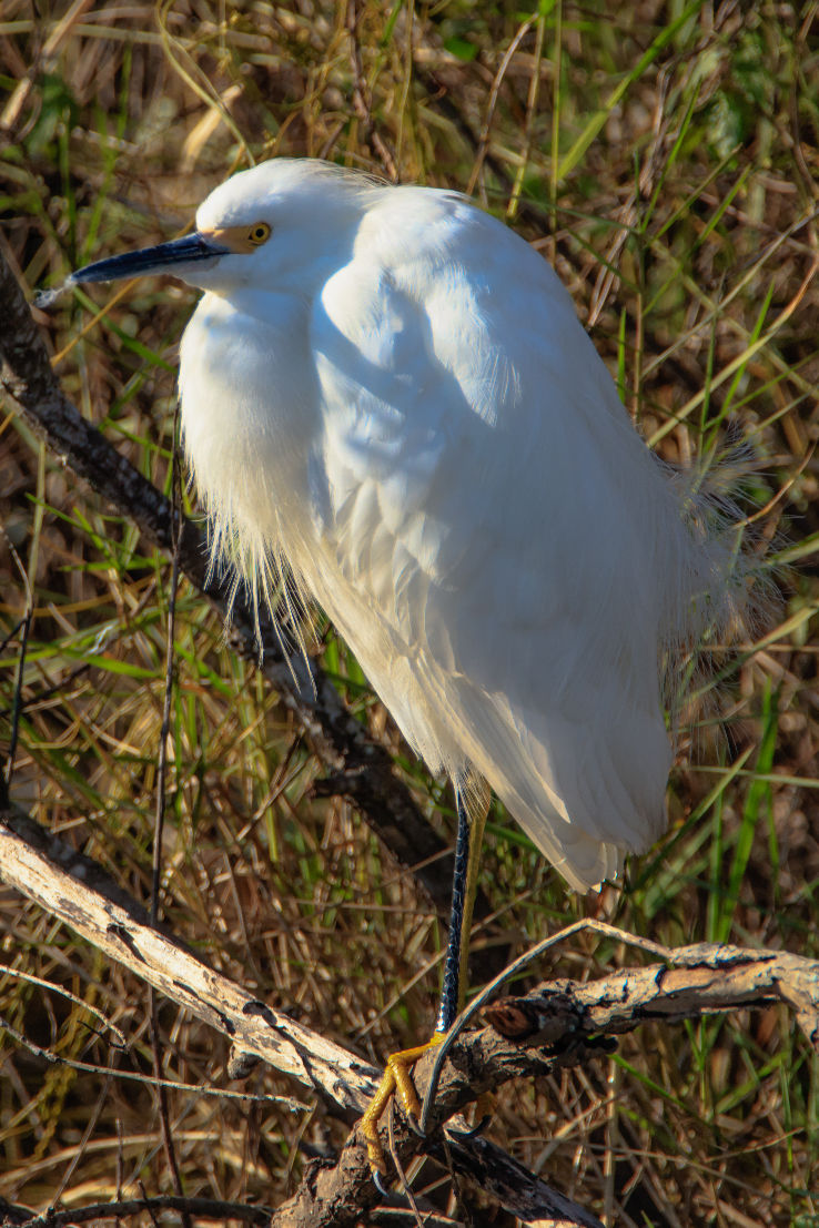 Shark Valley  Trip Packages