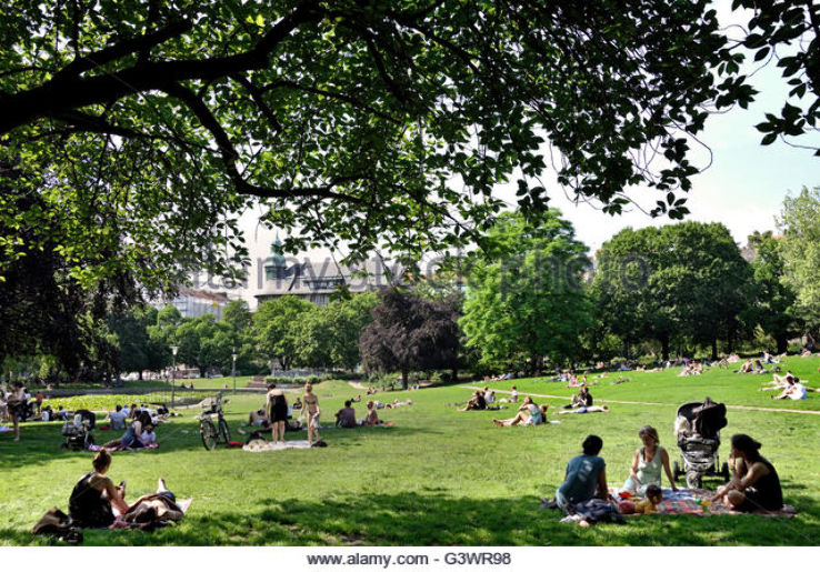 Picnic in a park Trip Packages