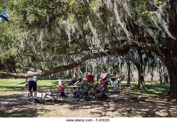 Picnic in a park Trip Packages