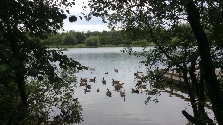 Blackleach Country Park Trip Packages