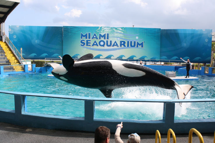 Miami Seaquarium  Trip Packages