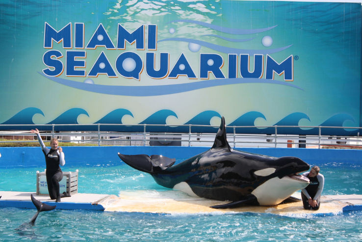Miami Seaquarium  Trip Packages