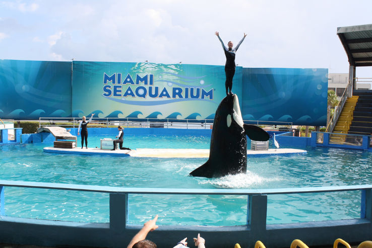 Miami Seaquarium  Trip Packages