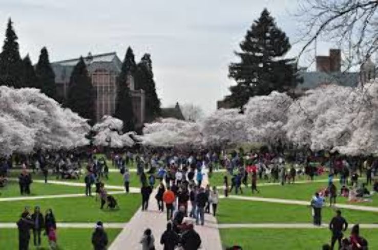 University Washington in Seattle  Trip Packages