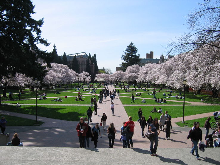 University Washington in Seattle  Trip Packages