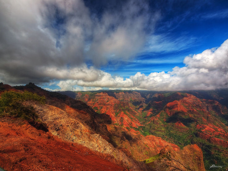 Waimea Canyon State Park Trip Packages