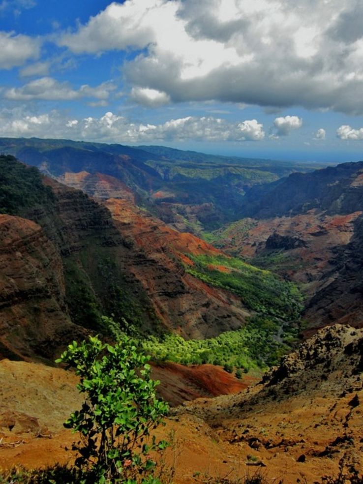 Waimea Canyon State Park Trip Packages