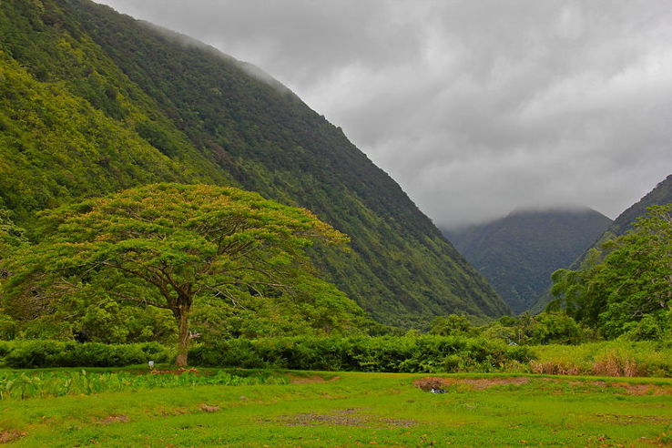 Waipio Valley Trip Packages