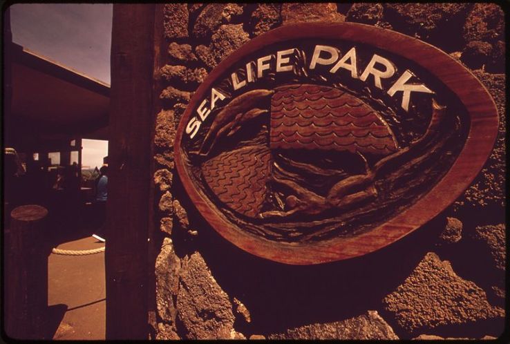 Sea Life Park Hawaii Trip Packages