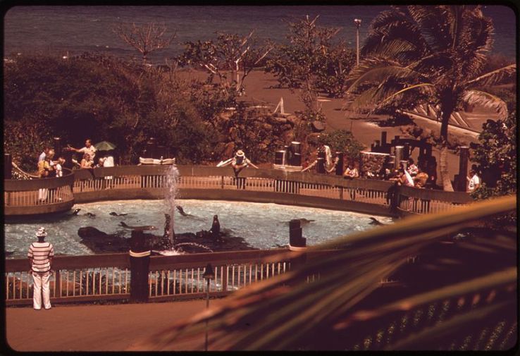 Sea Life Park Hawaii Trip Packages