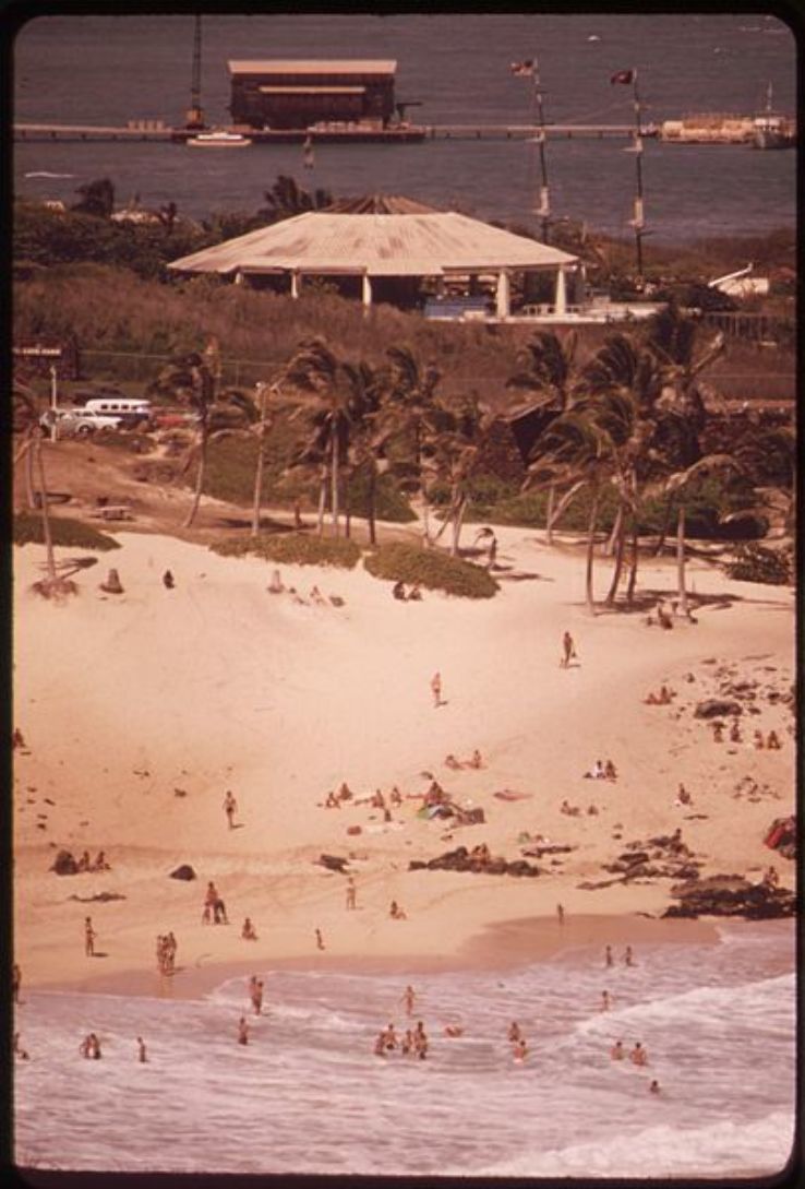 Sea Life Park Hawaii Trip Packages