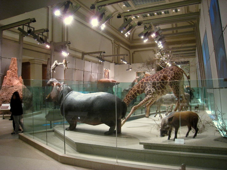 National Museum of Natural History  Trip Packages