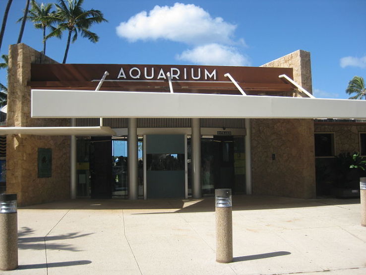 Waikiki Aquarium Trip Packages