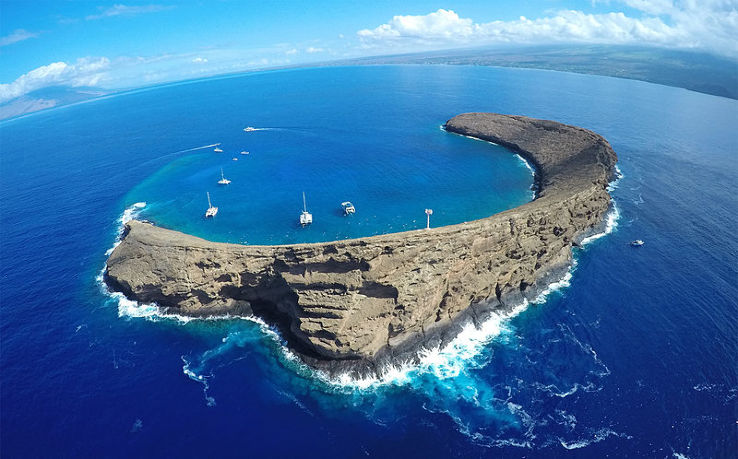 Molokini Trip Packages