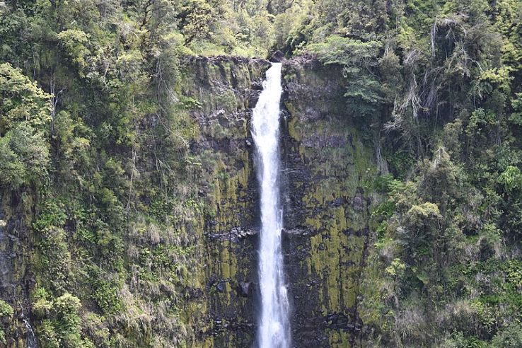 Akaka Falls State Park Trip Packages