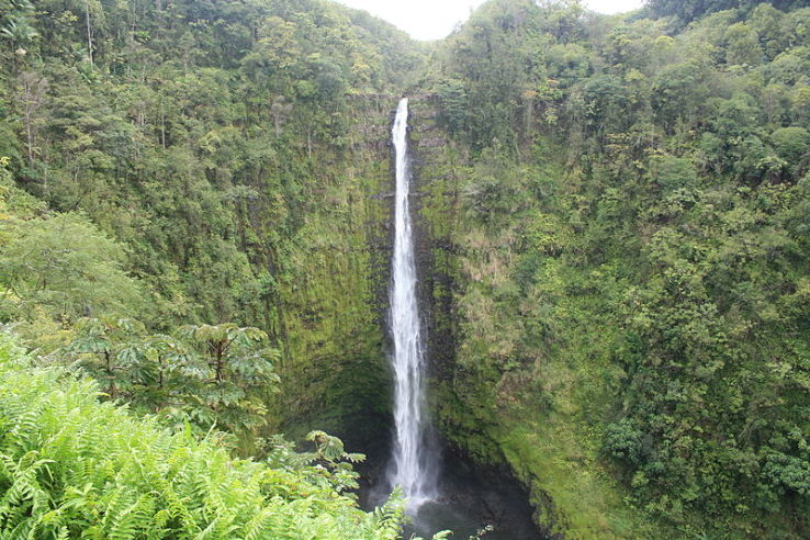 Akaka Falls State Park Trip Packages