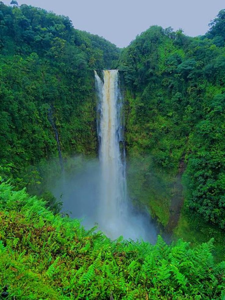 Akaka Falls State Park Trip Packages