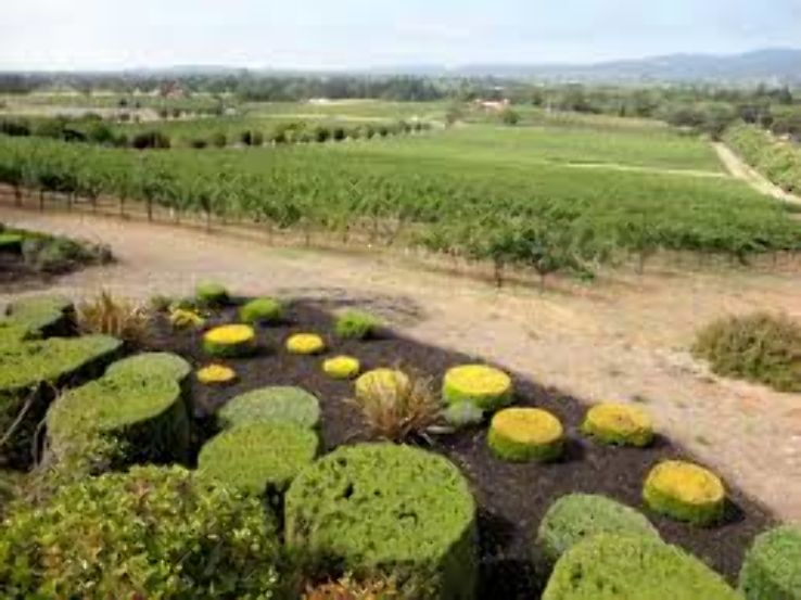 Napa Valley  Trip Packages