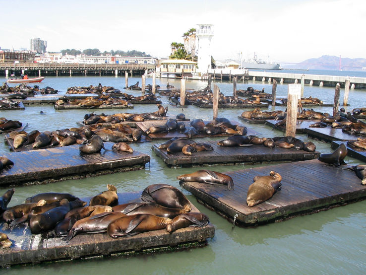 Pier 39  Trip Packages