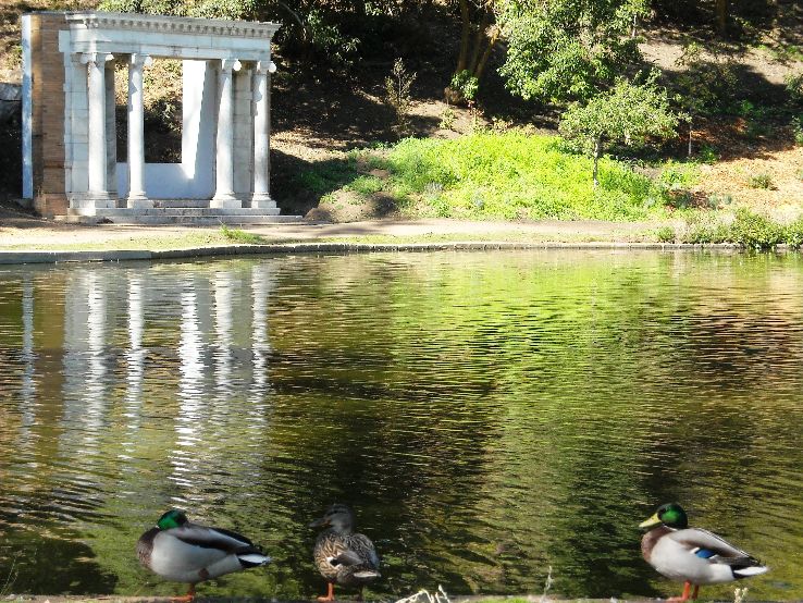 Golden Gate park Trip Packages