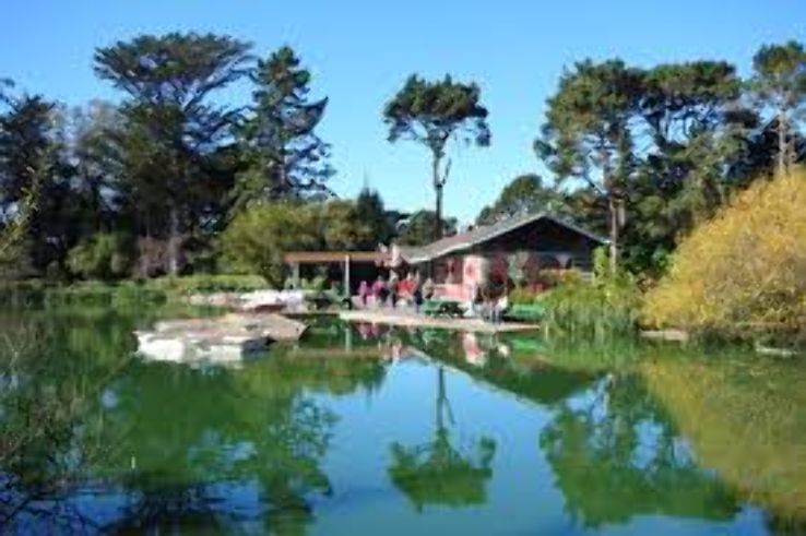 Golden Gate park Trip Packages