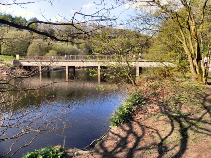 Jumbles Country Park Trip Packages