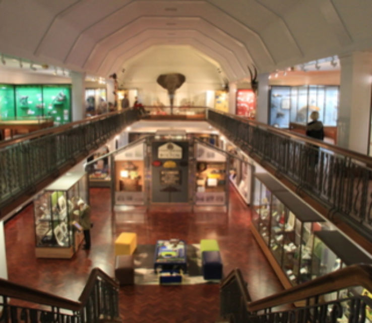 Bolton Museum  Trip Packages