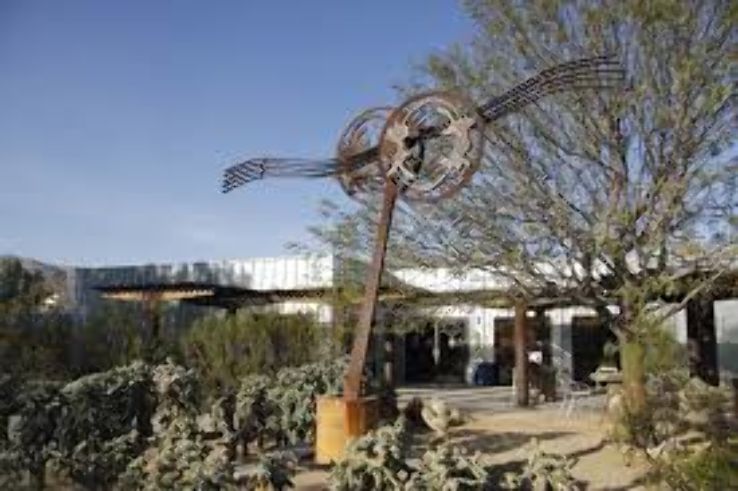 Joshua Tree  Visitor Trip Packages