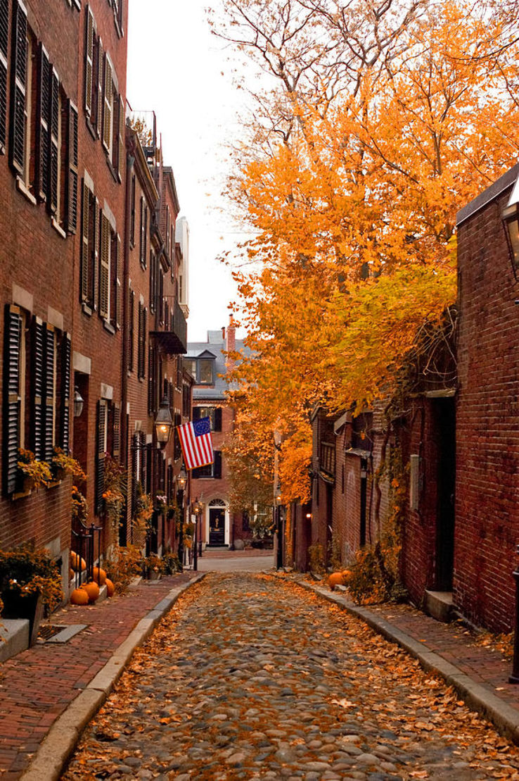 Beacon Hill Trip Packages
