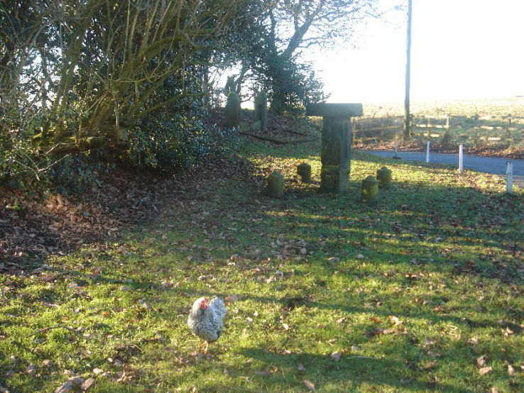 Anderton Headless Cross And Stocks   Trip Packages