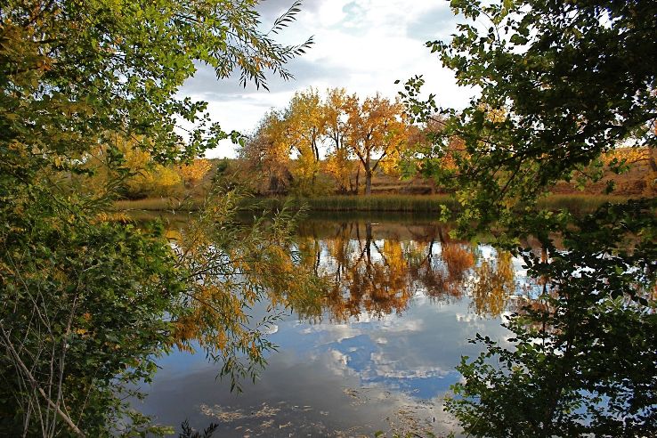 Bluff Lake Nature Center Trip Packages