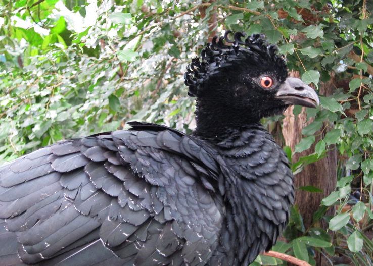 Philadelphia Zoo  Trip Packages