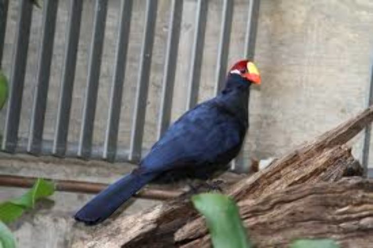 Philadelphia Zoo  Trip Packages