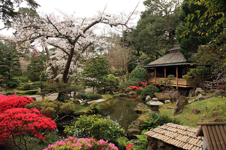 Japanese Tea Garden  Trip Packages