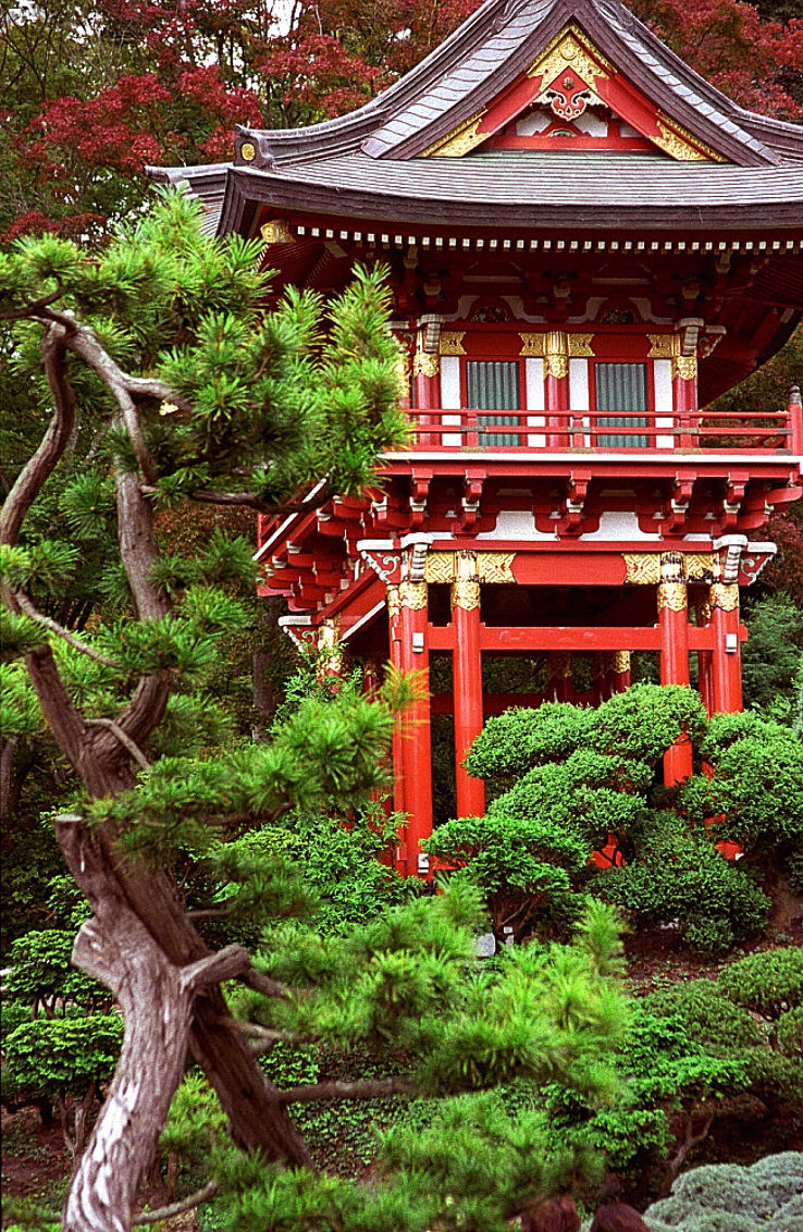 Japanese Tea Garden  Trip Packages