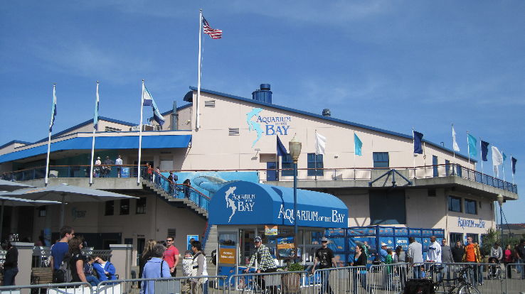 Aquarium of the Bay  Trip Packages