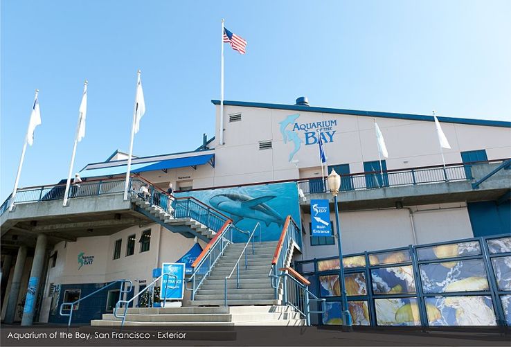 Aquarium of the Bay  Trip Packages