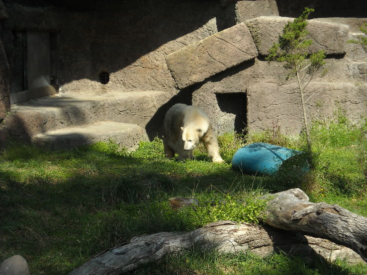 San Francisco Zoo Trip Packages