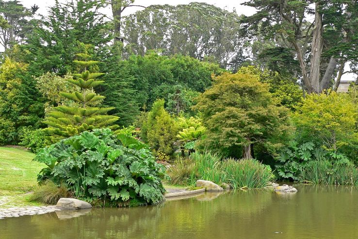 San Francisco Botanical Garden   Trip Packages