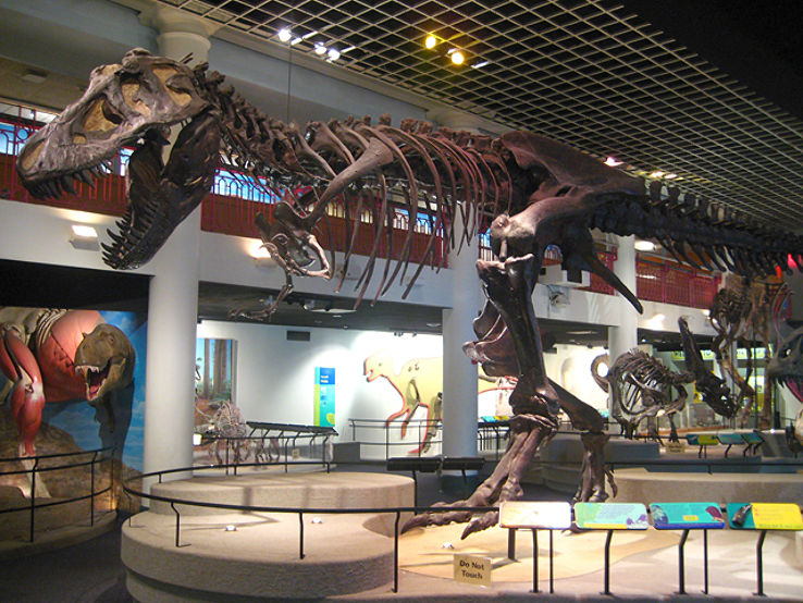 Academy of Natural Sciences of Drexel University Trip Packages