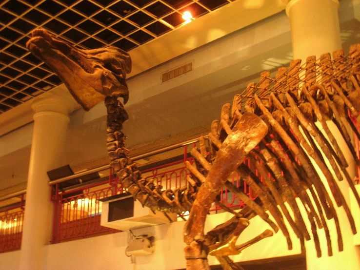 Academy of Natural Sciences of Drexel University Trip Packages