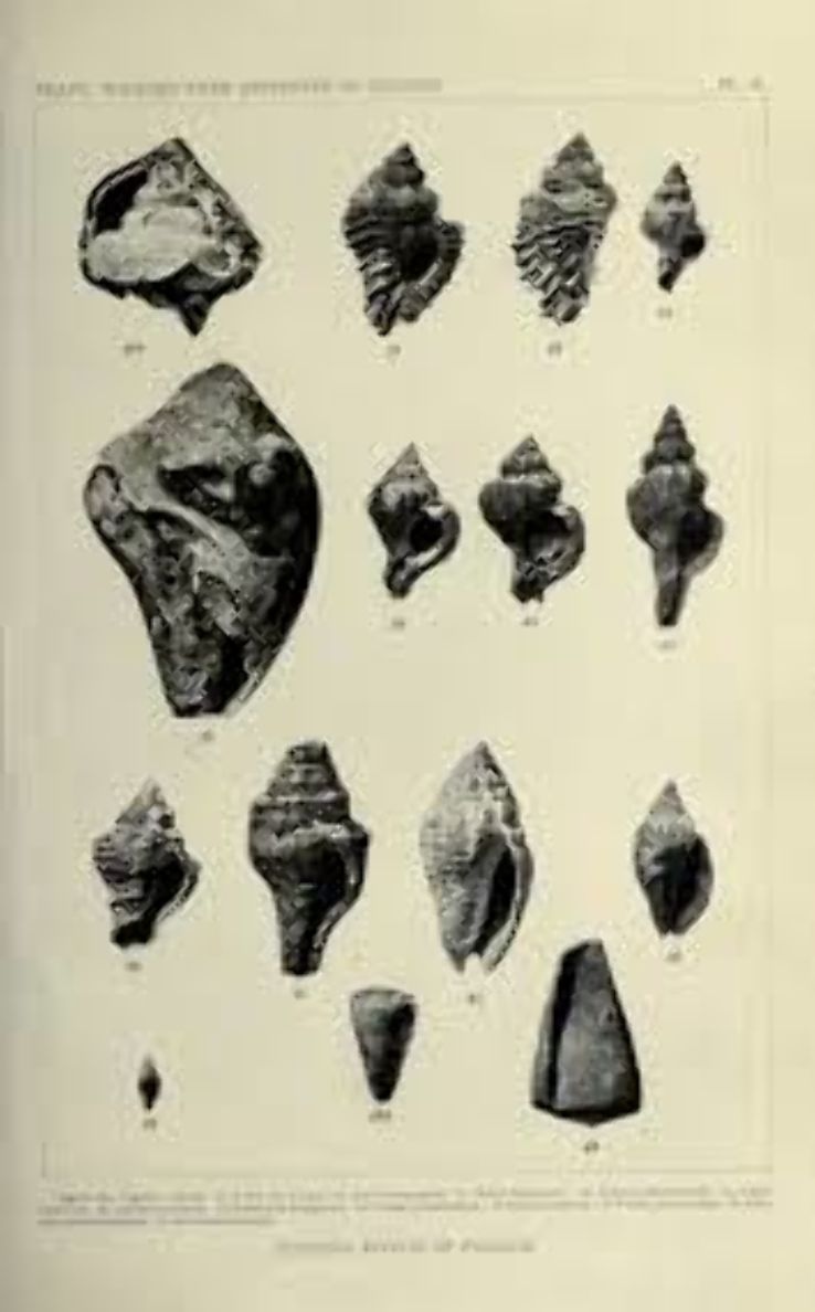 Science History Institute  Trip Packages