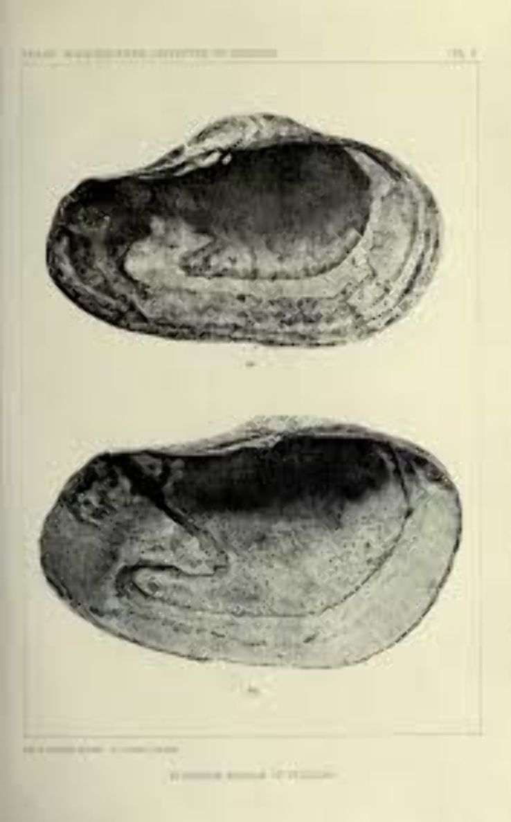 Science History Institute  Trip Packages