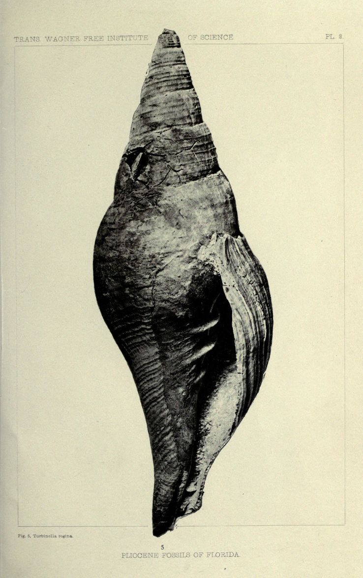 Science History Institute  Trip Packages