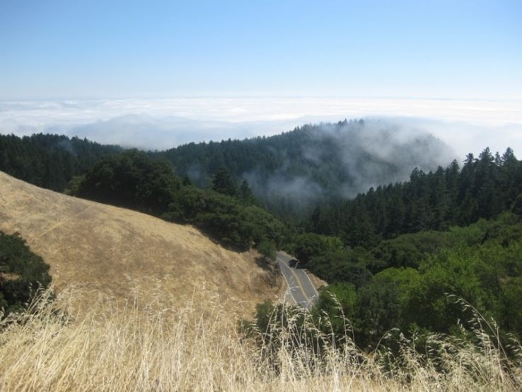 Mount Tamalpais State Park  Trip Packages