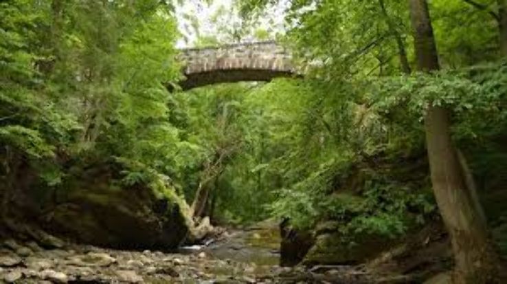 Wissahickon Valley Park Trip Packages