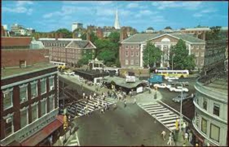 Harvard Square  Trip Packages